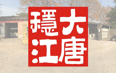 大唐稳江人